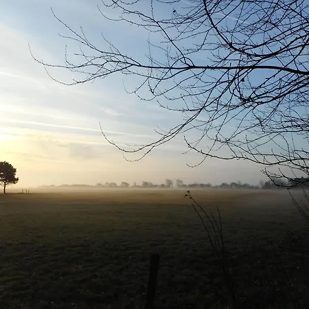 Haus-seeschwalbe * Nieblum