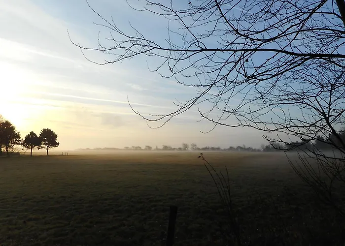 Haus-seeschwalbe * Nieblum